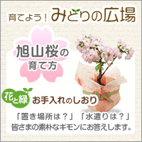 育てよう！みどりの広場　お手入れのしおり
