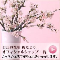 沖縄エリアのオフィシャルショップ一覧へ＞
