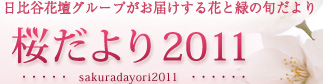 日比谷花壇グループがお届けする花と緑の旬だより｜桜だより2011