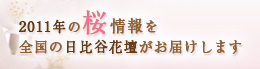 2011年の桜情報を全国の日比谷花壇がお届けします