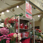 天神イムズ店