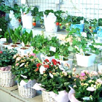 松屋浅草店