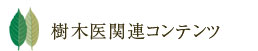 樹木医関連コンテンツ