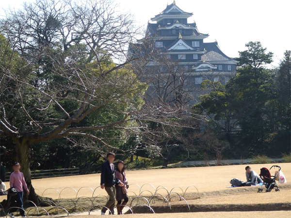 旭川さくら道の桜