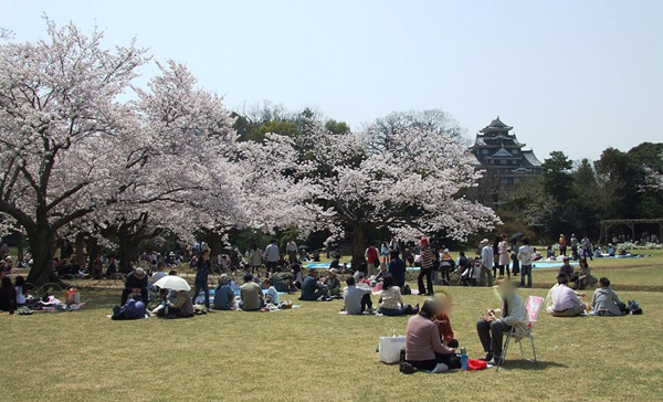 旭川さくら道の桜