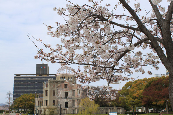 広島平和記念公園の桜