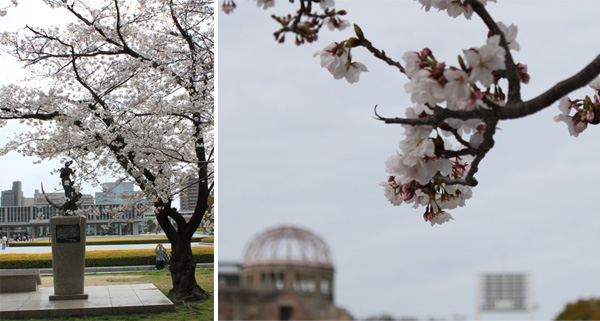 広島平和記念公園の桜