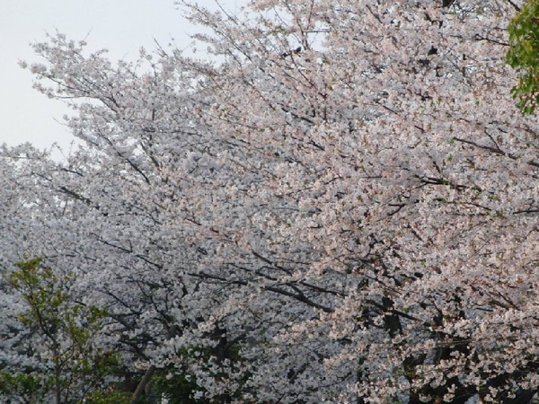 平和公園