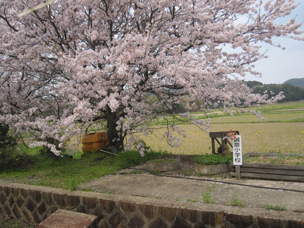 山陰線の車窓より