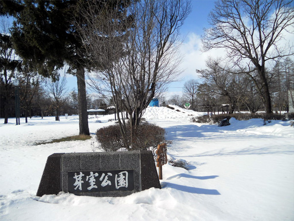 芽室公園の桜