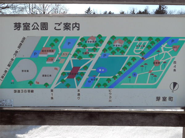 芽室公園の桜