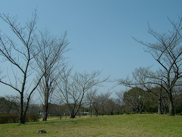 岸和田市中央公園