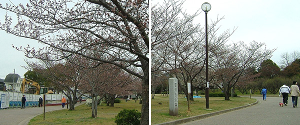 岸和田市中央公園