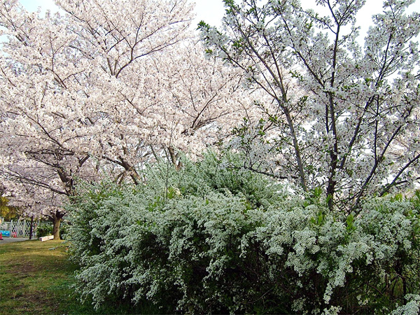 岸和田公園