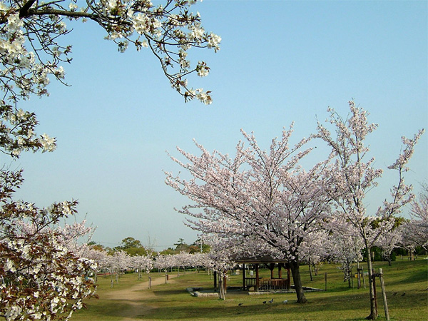 岸和田公園