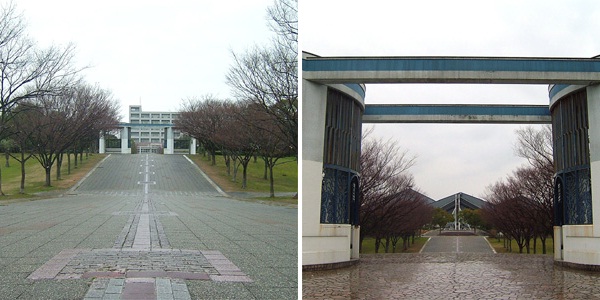 岸和田公園の桜