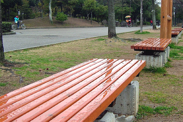 岸和田公園の桜