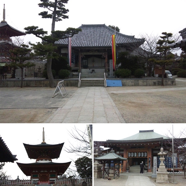 久米寺の桜