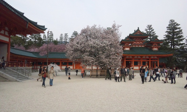 朱塗りの神殿と桜