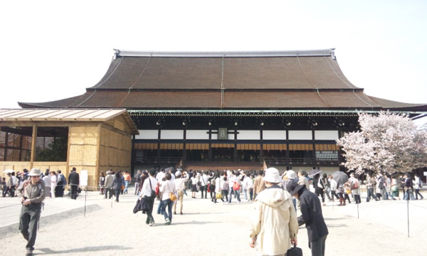 紫宸殿正面の左近の桜
