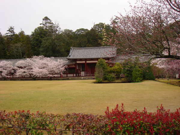 奈良の東大寺