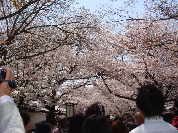 京都の醍醐寺