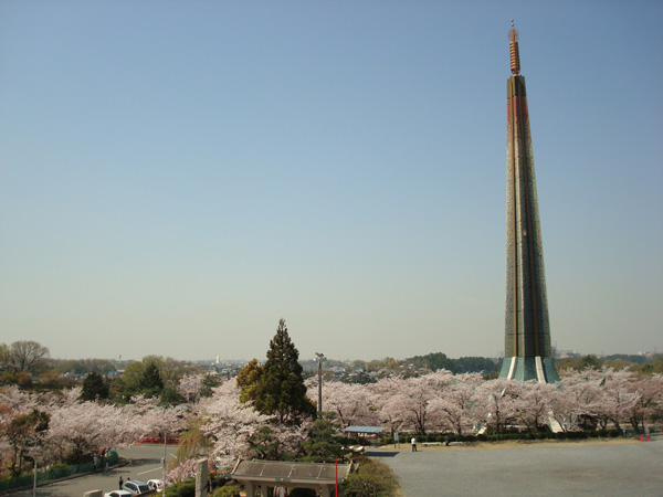 茨木弁天さんの桜