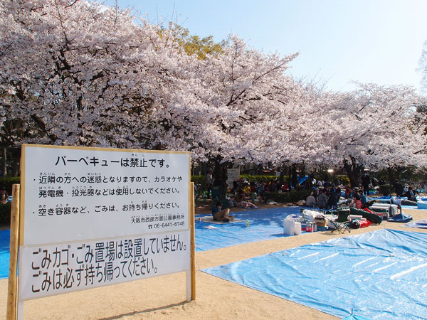靱公園の桜