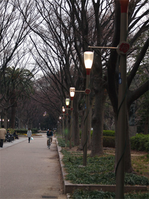 靱公園の桜