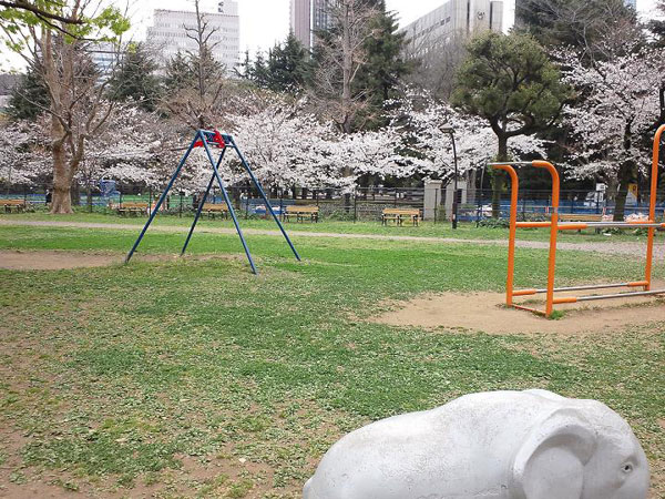 日比谷公園のソメイヨシノ