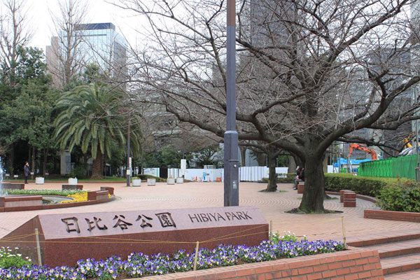 日比谷公園のソメイヨシノ