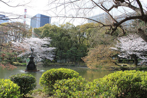 日比谷公園のソメイヨシノ