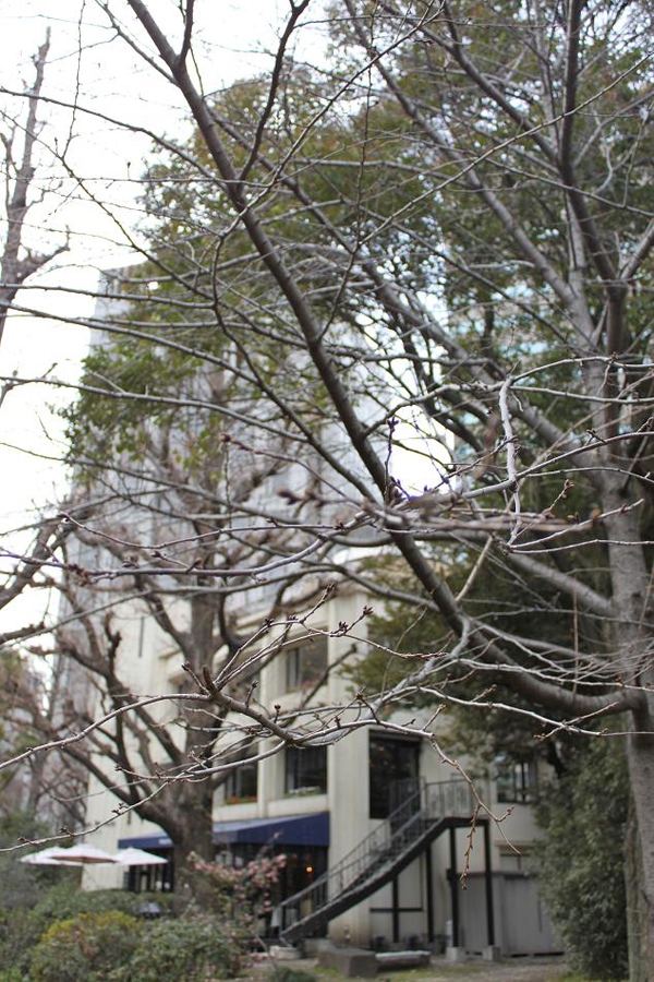 日比谷パレス