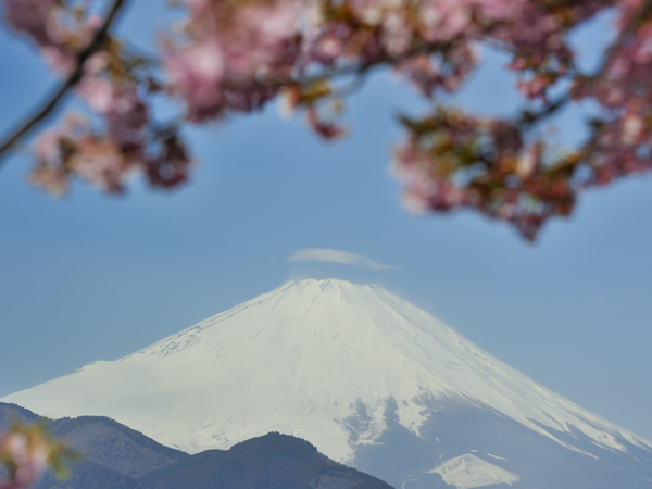 関東の富士見百景