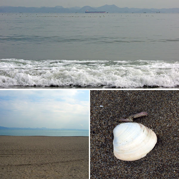 三浦海岸