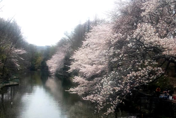 東京都練馬区関町北三丁目にある武蔵関公園に行ってきました。