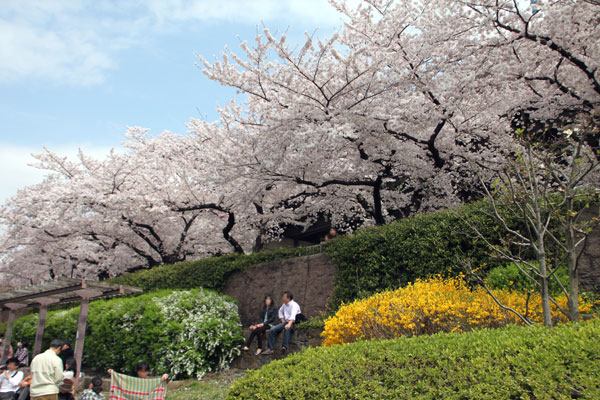 隅田公園