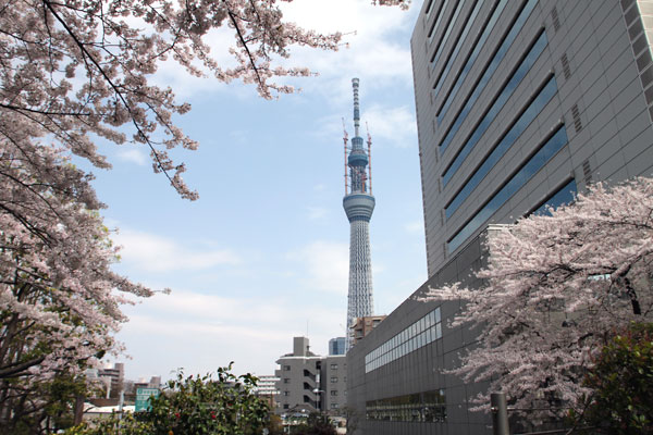隅田公園