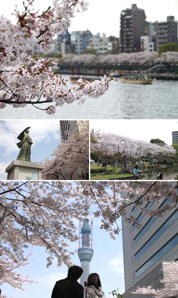 隅田公園
