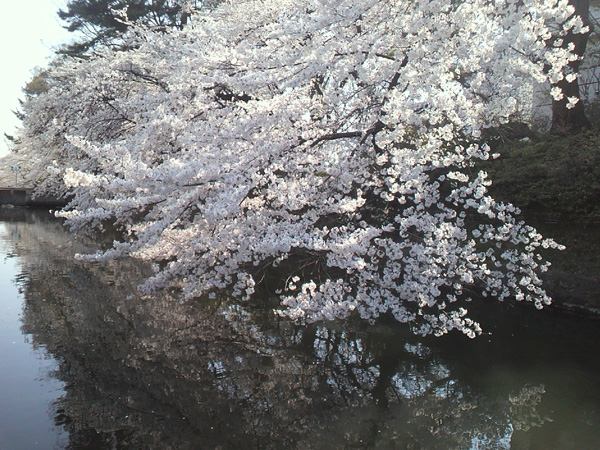 高崎城址公園