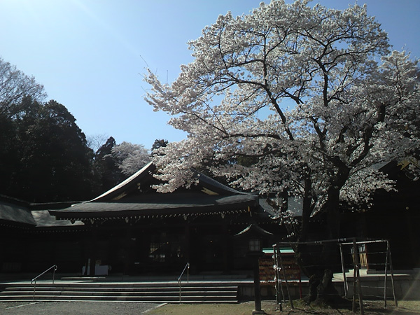 高崎城址公園