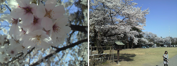 高崎城址公園