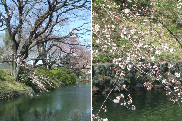 高崎城址公園