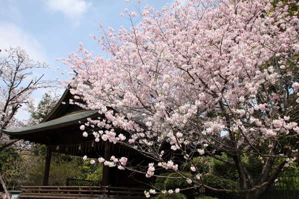 上野恩賜公園