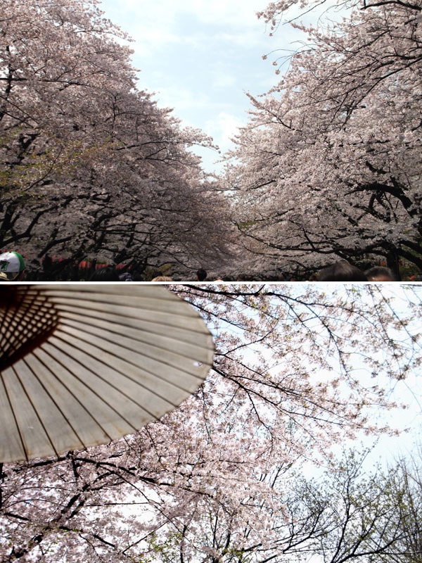 上野恩賜公園