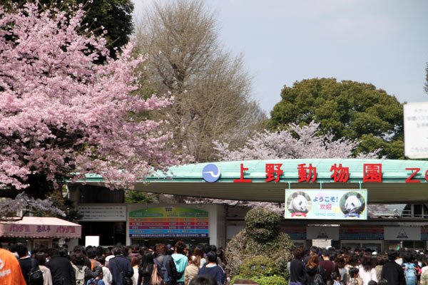 上野恩賜公園