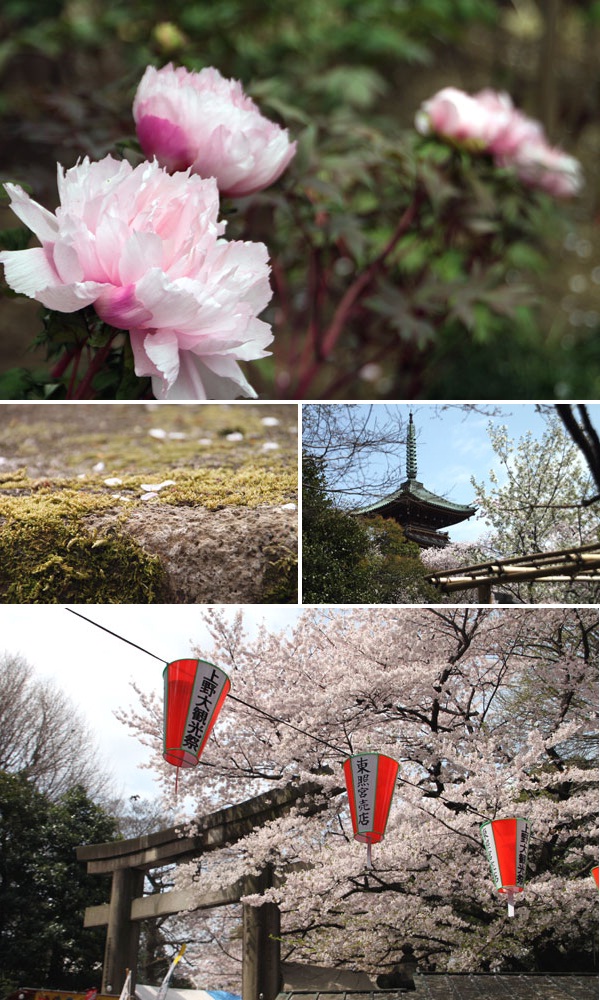 上野恩賜公園