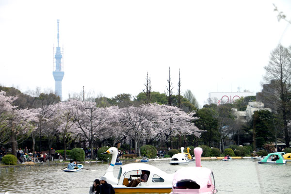 上野恩賜公園