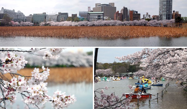 上野恩賜公園
