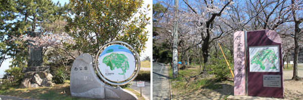 西公園の桜